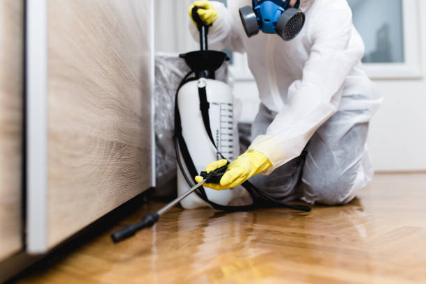 Best Wasp Removal Services  in Valmeyer, IL