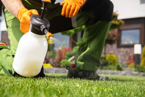 Best Affordable Pest Control Services  in Valmeyer, IL