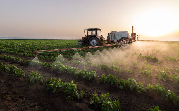 Best Pest Control Near Me  in Valmeyer, IL