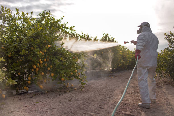 Best Cockroach Control Services  in Valmeyer, IL