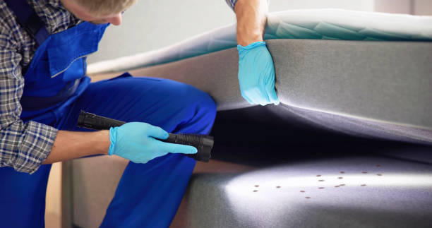 Best Bed Bug Extermination  in Valmeyer, IL