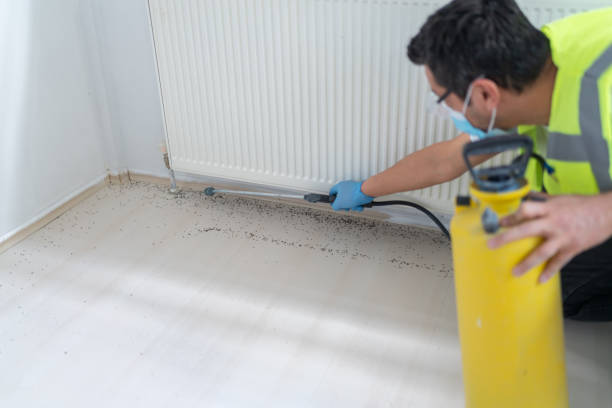 Pest Prevention Services in Valmeyer, IL