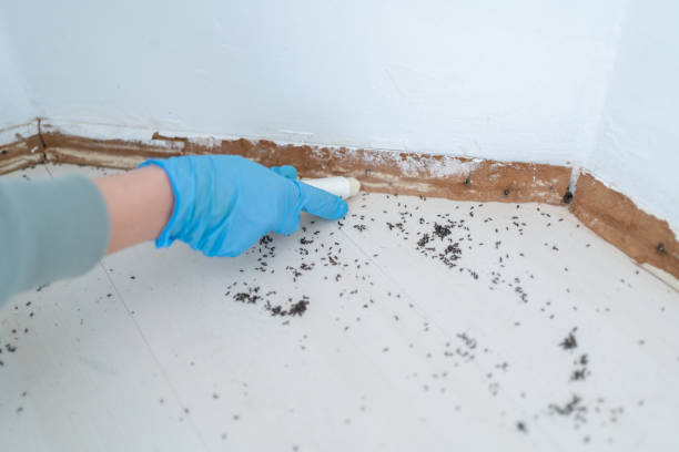 Best Wildlife Control Services  in Valmeyer, IL