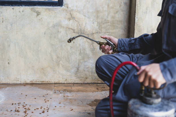 Best Pest Control Treatment  in Valmeyer, IL